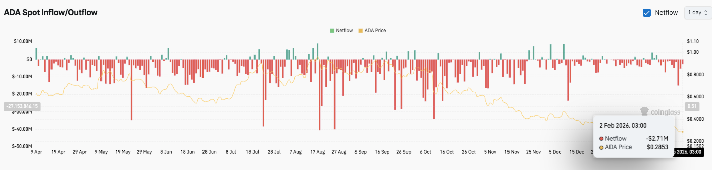 傅园慧展示,新老虎纹身,自信气场十,易币付app,易币付官网下载,易币付app官网下载
