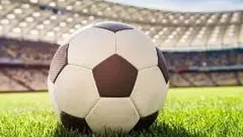 中超：成都蓉城力克上海海港